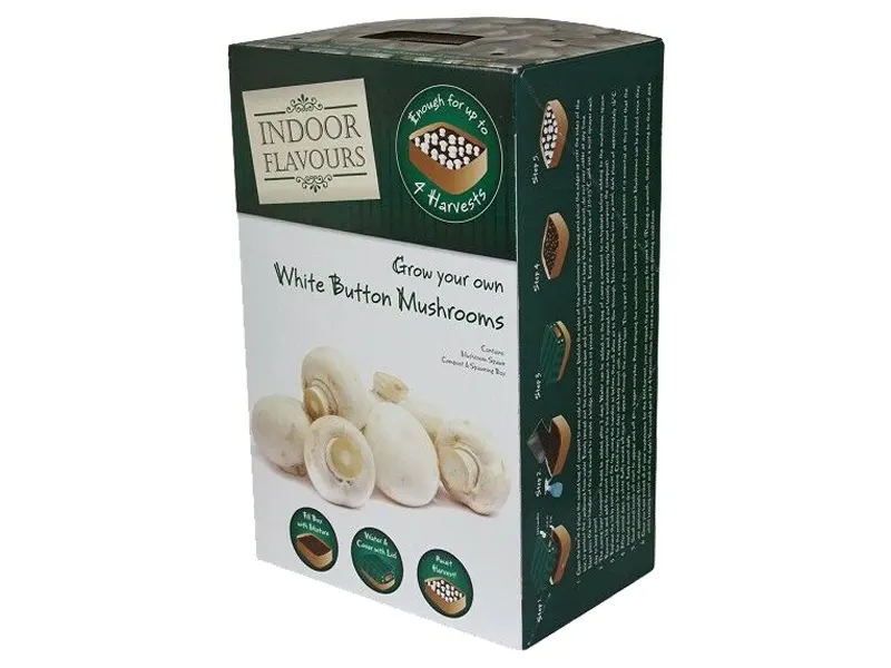 Mushroom Boxes - Image 4